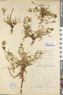 LE 01094683