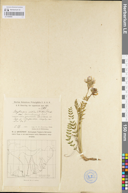 LE 01094685