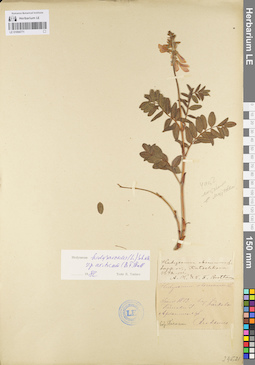 LE 01094771