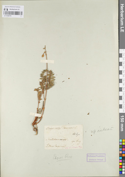 LE 01094776
