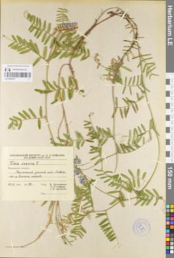 LE 01094797