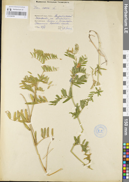 LE 01094799