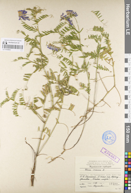 LE 01094802