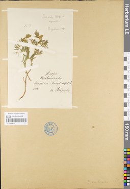LE 01094814
