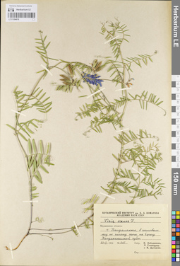 LE 01094816