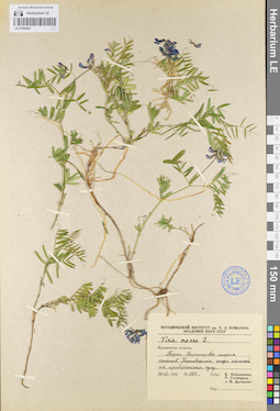 LE 01094821