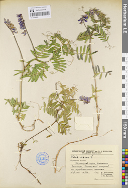 LE 01094828