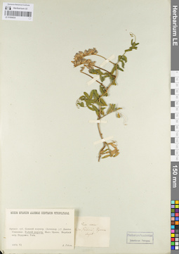 LE 01094834
