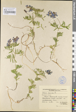 LE 01094837