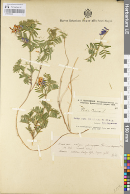 LE 01094838