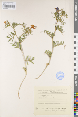 LE 01094840