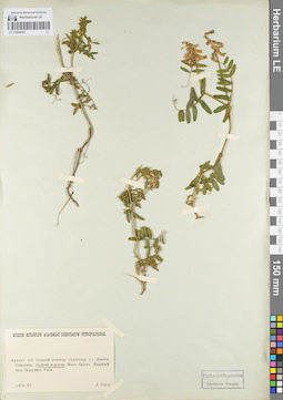 LE 01094843