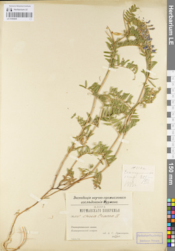 LE 01094845