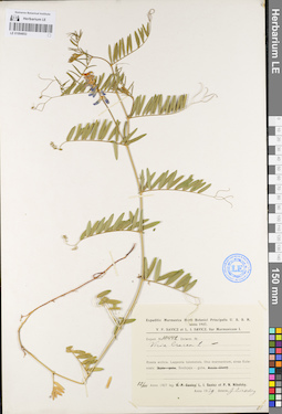 LE 01094853