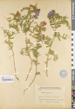 LE 01094859