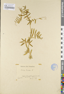 LE 01094865