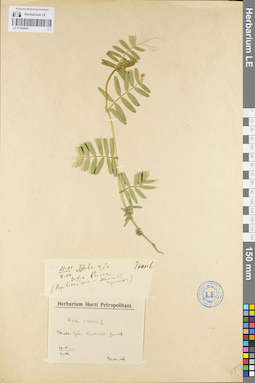 LE 01094866