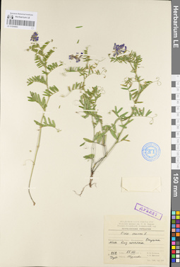 LE 01094883