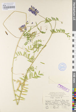 LE 01094890