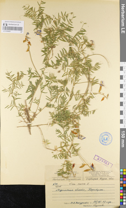 LE 01094891