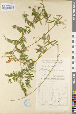 LE 01094893