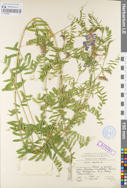 LE 01094896