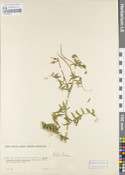 LE 01094899