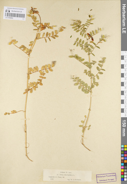 LE 01094902