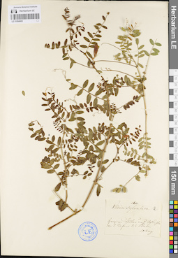 LE 01094905