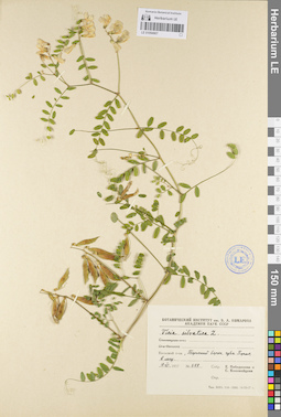 LE 01094907