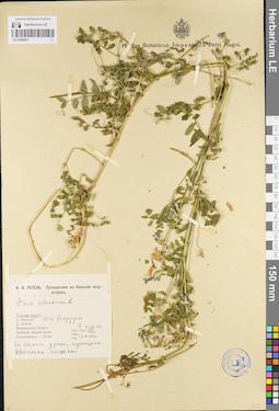 LE 01094911
