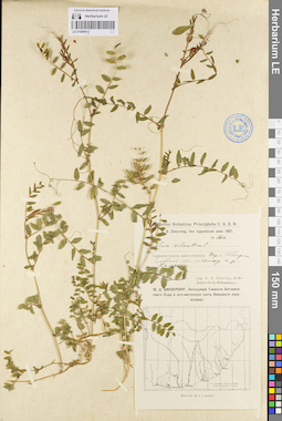 LE 01094912