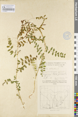 LE 01094913