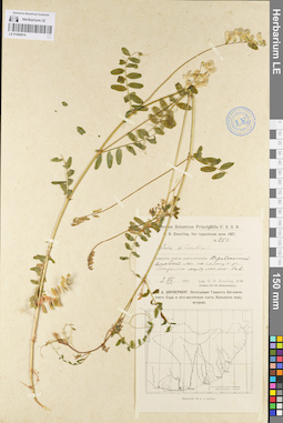 LE 01094914
