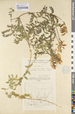 LE 01094915
