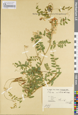 LE 01094922