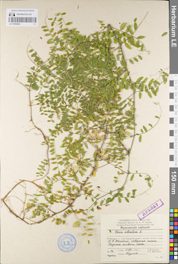 LE 01094926