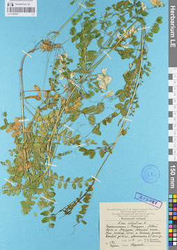 LE 01094927