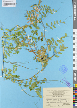 LE 01094928