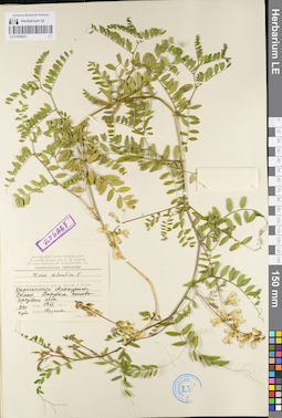 LE 01094931