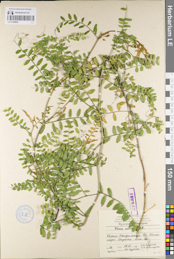 LE 01094932