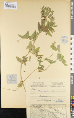LE 01094940