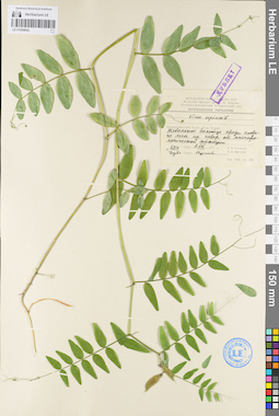 LE 01094942