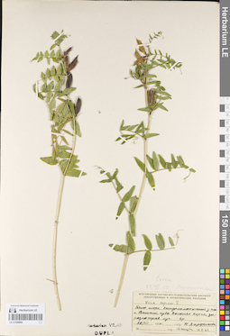 LE 01094944
