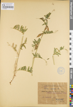 LE 01094954