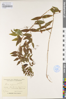 LE 01094956