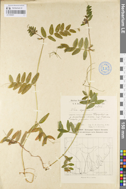 LE 01094957