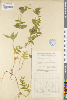 LE 01094958