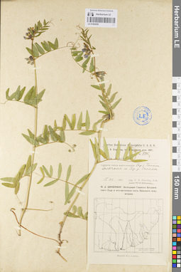 LE 01094959