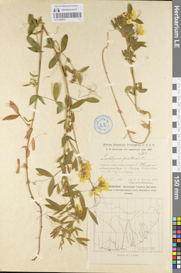LE 01094976
